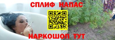 прущие грибы Новодвинск